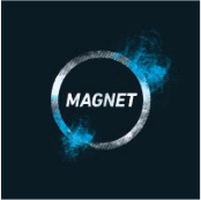 Magnet
